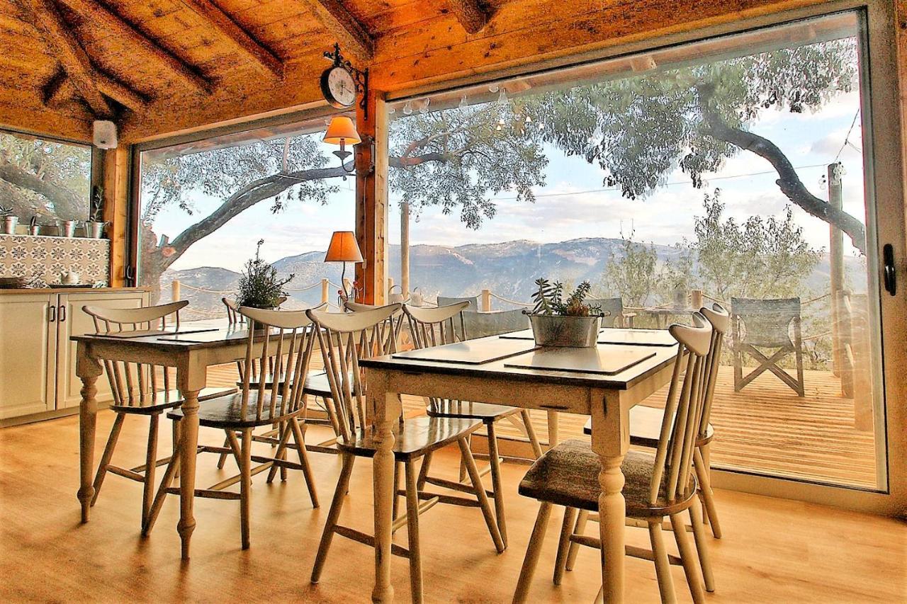 Almondhouse Suites With Fireplace - Adults Only Arachova Exterior photo